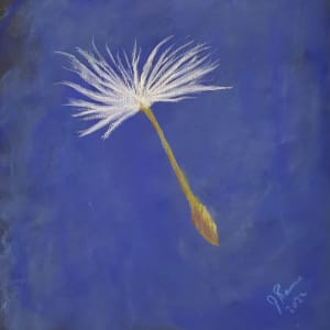 A Dandelion's Wish by Joann Renner