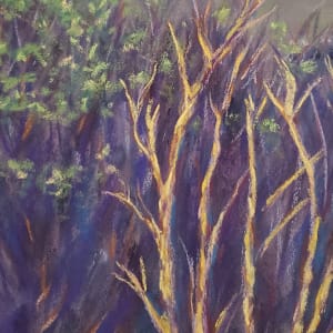 Late Spring in the Poconos by Joann Renner 