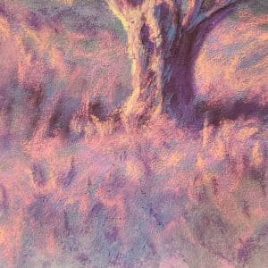 Morning Glow Along Davidson Road, Plum, PA by Joann Renner 