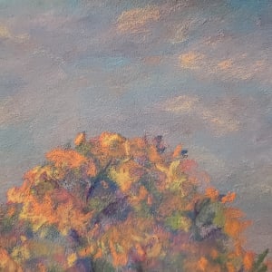 Morning Glow Along Davidson Road, Plum, PA by Joann Renner 