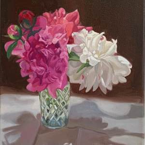 Peonies in Pink (and White) by Patrick Sieg