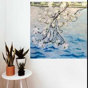 Cherry Blossoms by Stephanie Fuller 