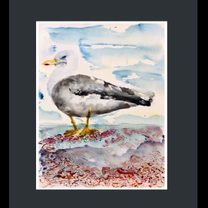 Seagull, Walmer 