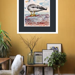 Seagull, Walmer by Stephanie Fuller 