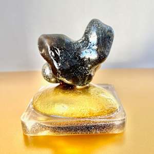 Fish Out Of Water by Stephanie Fuller