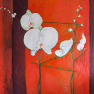 Orchids by Stephanie Fuller 376ASF 