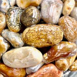 Whispers of Gold by Stephanie Fuller 