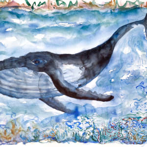 Humpback Whale and Kelp