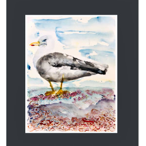 Seagull, Walmer 