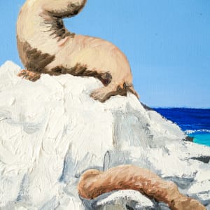 Sea Lions by Stephanie Fuller 