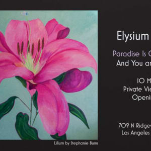 Lilium by Stephanie Fuller 
