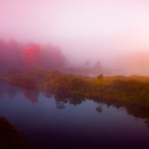 Meditations in Rose by Ellen Friedlander, Image 1.