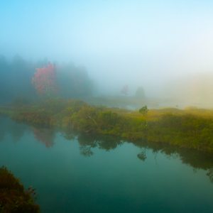 Meditations in Blue by Ellen Friedlander, Image 1.