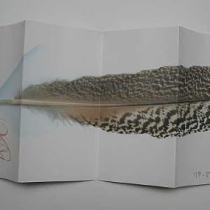 THE BOOKS OF THE DAYS Part 4 by Stefani Peter 