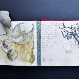 Sketchbook France 2022 by Stefani Peter 