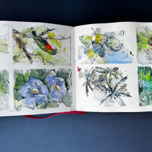 Sketchbook New Zealand December 2023-January 2024 by Stefani Peter 