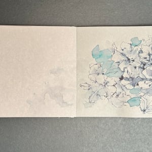 Sketchbook Germany 5 | 2024 by Stefani Peter  Image: Rhododendron Park