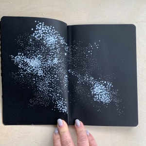 2020-2022 Black Book by Stefani Peter 