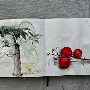 Brazil 2022 Sketchbook by Stefani Peter 