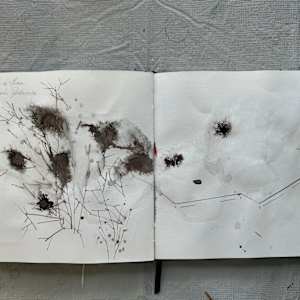 Brazil 2022 Sketchbook by Stefani Peter 