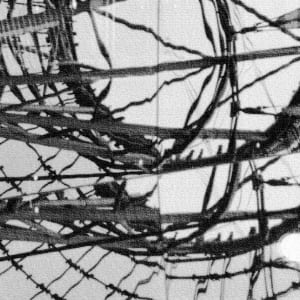 Urban Landscape | Photography by Stefani Peter 