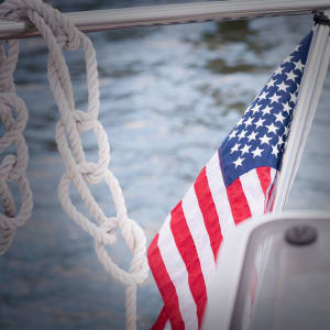 Freedom by Daniella Cippitelli