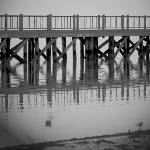 Ghost Bridge by Daniella Cippitelli