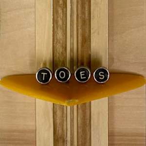Toes on the Nose by Lynn Dodge