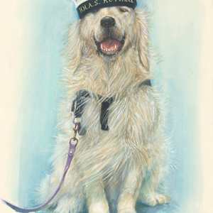 PTSD Assistance Dog, H.M.A.S. Kuttabul, Royal Australian Navy by Victoria Kitanov