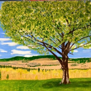 One Tree by Louise Douglas