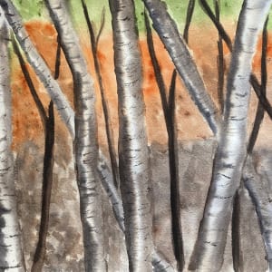 Birch Tree study by Louise Douglas