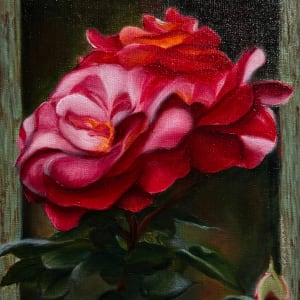 Luscious Roses in Red and Orange by Carolyn Kleinberger