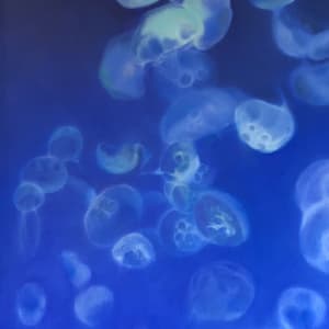 Jellyfish by Carolyn Kleinberger, Image 1.