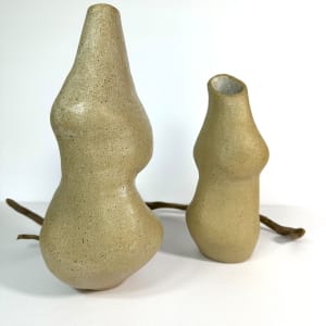 Organic vases by Mariana Sola