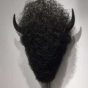 Buffaloed by Angela Behrends
