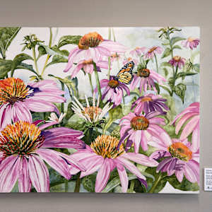 Echinacea by Barbara Sparks
