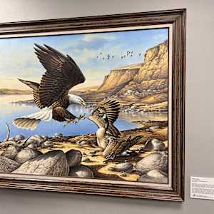 Nature's Way by John S. Wilson  Image: A love of nature, a commitment to quality, and a sense of humor make John Wilson’s artistic statements sincere and memorable. While growing up in South Dakota, John enjoyed many boyhood experiences such as hunting and fishing. John was taken by the wonders and fascinating details of the great outdoors, which inspired him to pick up his first paintbrush. It was then he discovered his innate talents in art and began the journey toward a career in wildlife art.