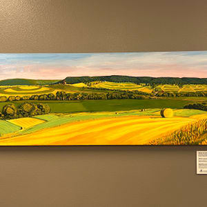 Hillside Hay Bales by Jenny Braig 