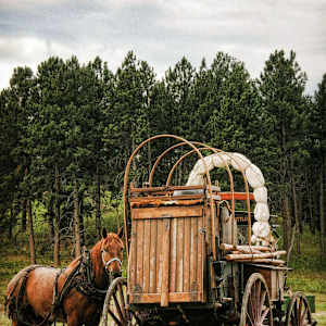 Chuckwagon by Sissy Schneiderman
