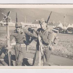 10th Mountain Division Grouping by United States Army 