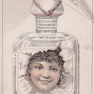 Trade Card by Eastman & Bro., William H. Hoskins