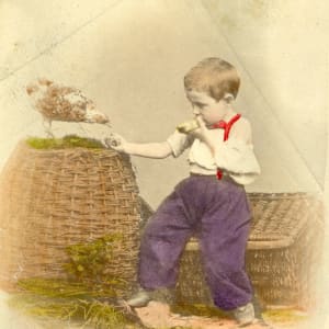 Boy Feeding Chicken by Wilhelm Fechner