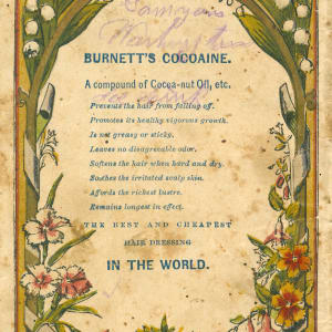 Burnett's Floral Hand Book by Joseph Burnett & Co. 