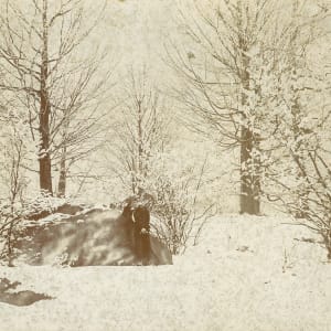 View of Patterson, New York in Winter by Maude F. Chase Heyde Fitzgibbons