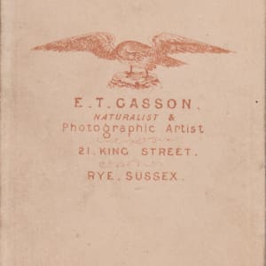 Carte de Visite by Edwin Thomas Gasson 