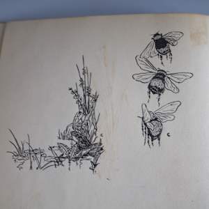 Sketchbook by J. Percy Burt 