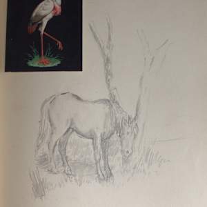 Sketchbook by J. Percy Burt 