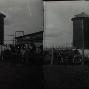 Stereoscopic Interpositives (Set of Seventeen) by Unknown, United States 