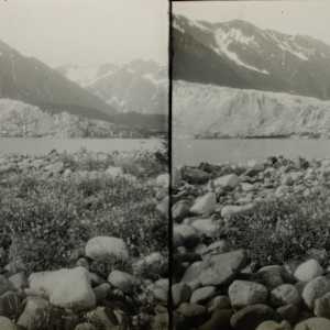 Stereoscopic Interpositives (Set of Seventeen) by Unknown, United States 