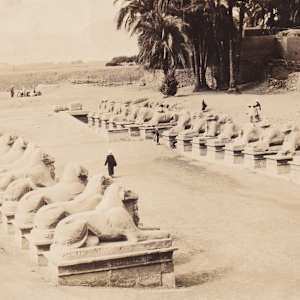 Grand Tour Grouping by Various 